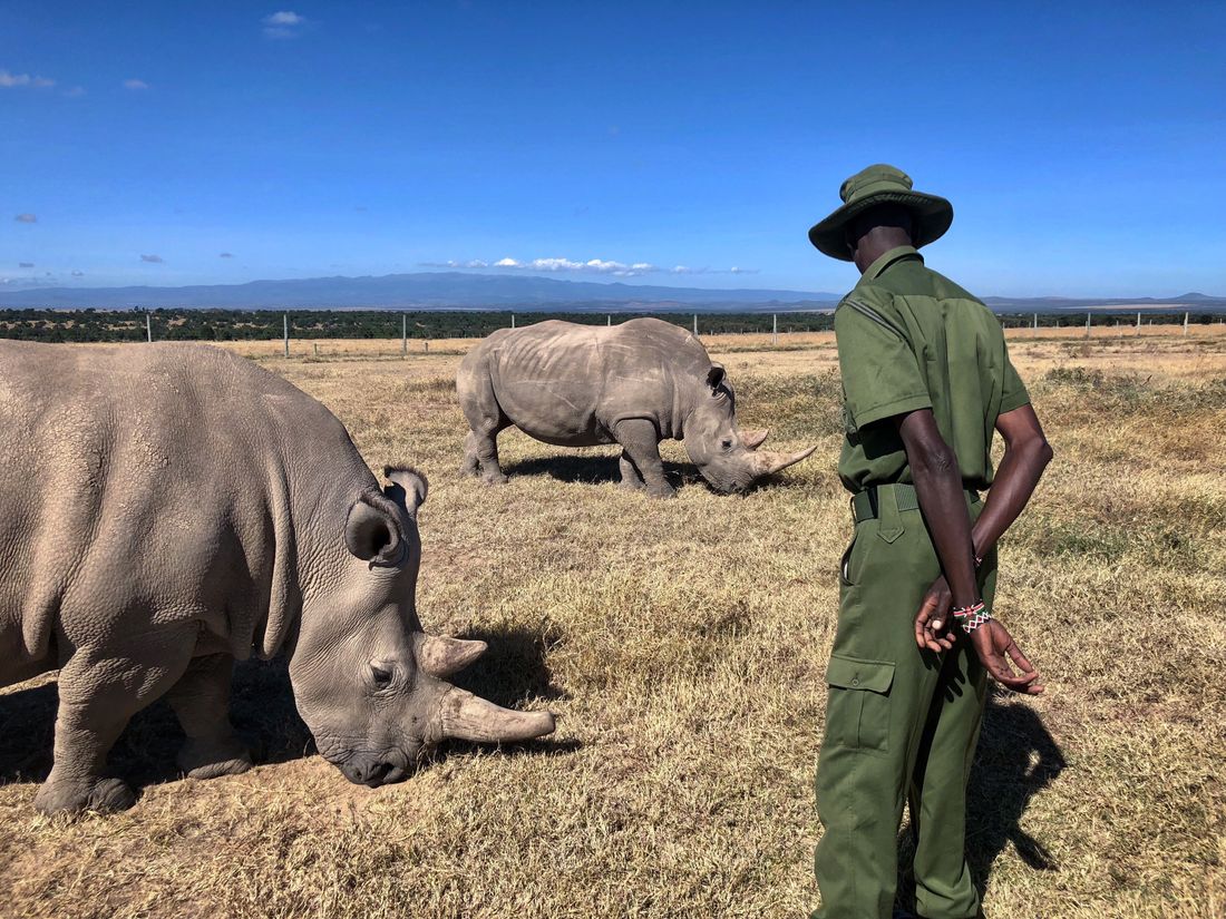 Private conservancies