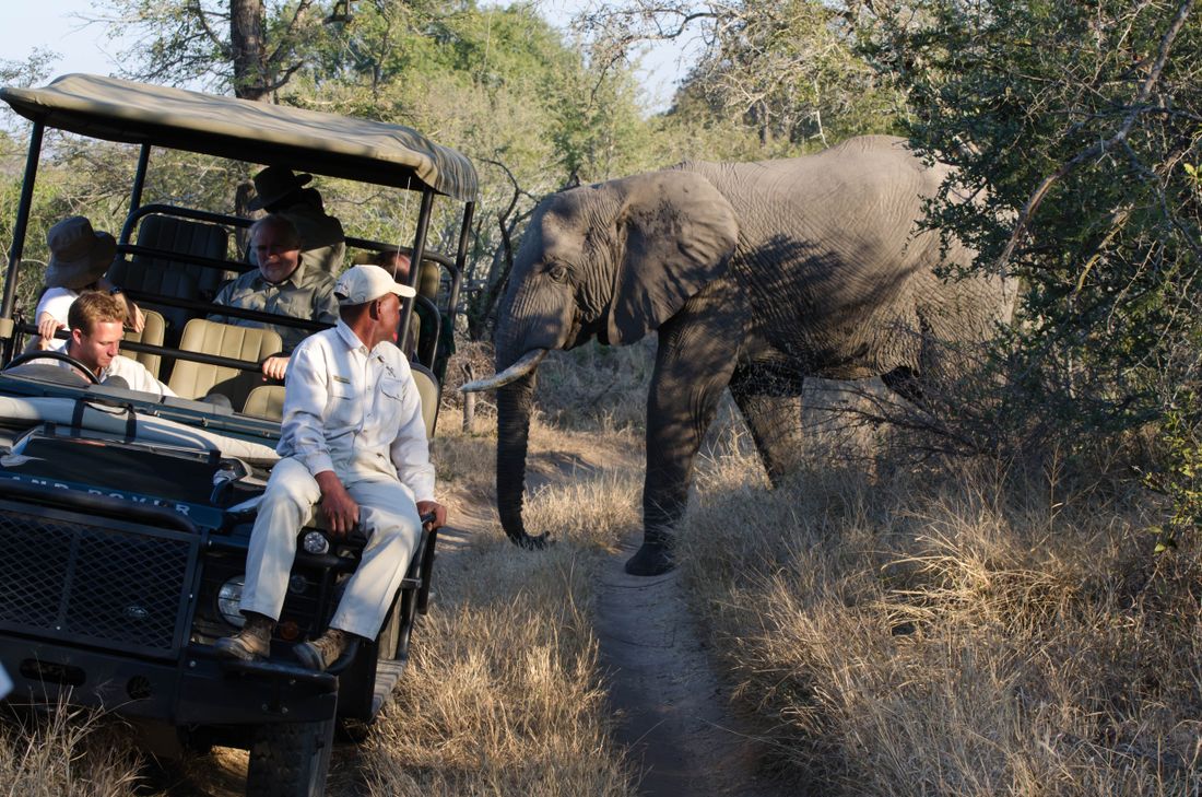 Walking Safaris