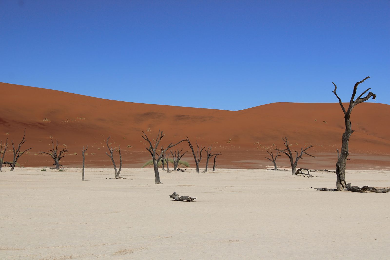 Safari in Namibia
