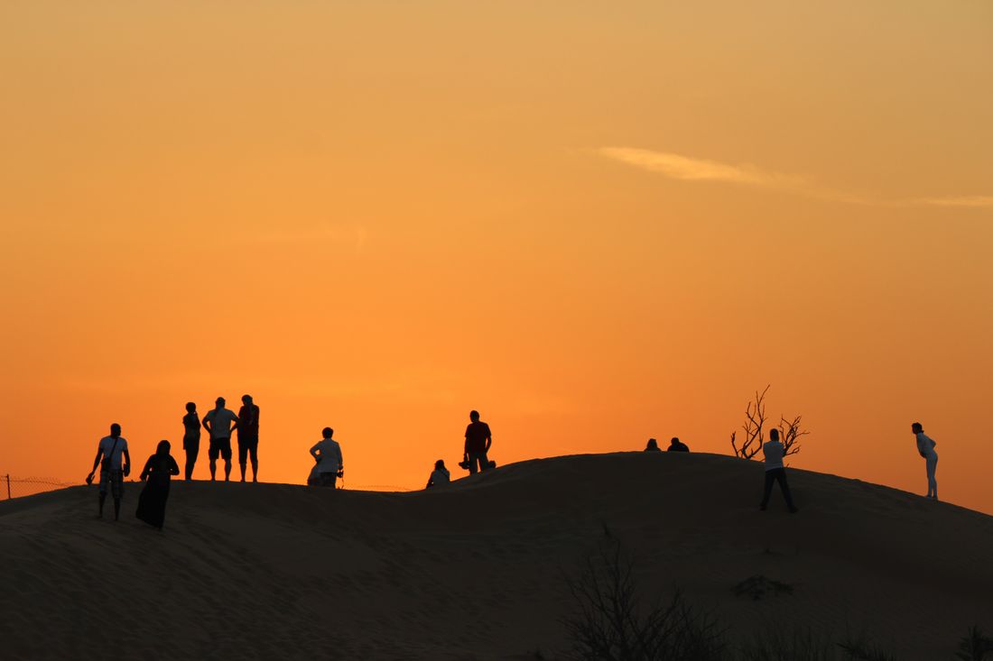 Guests on a walking safari
