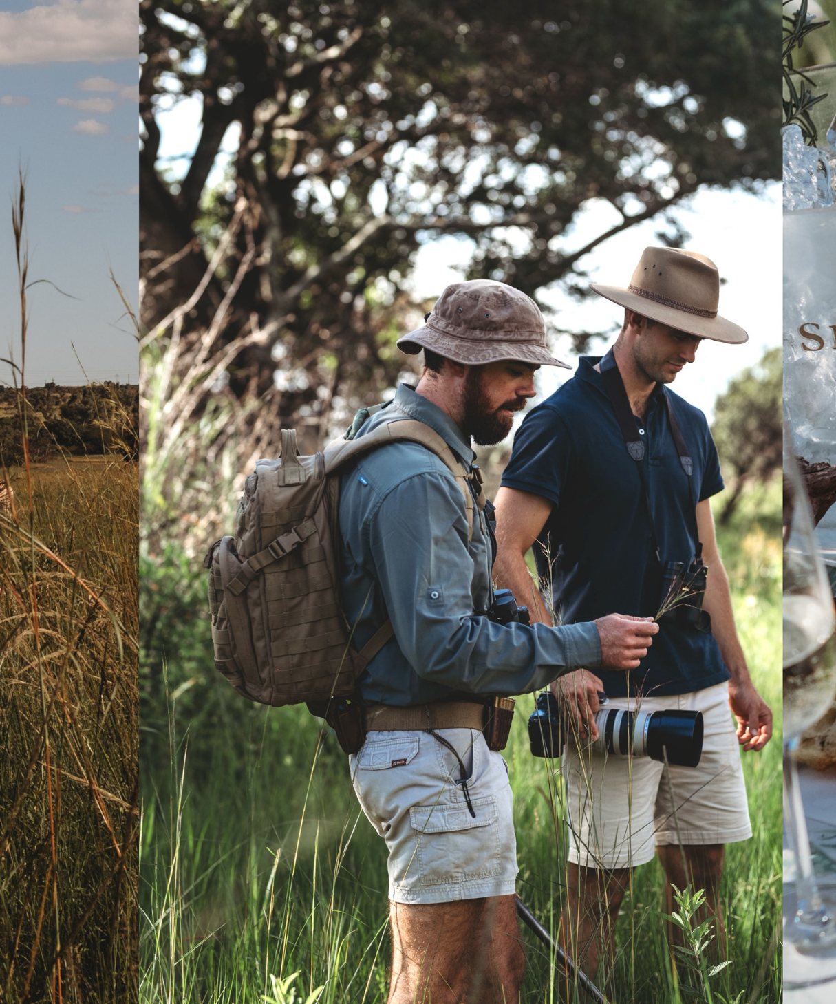 Guests on a walking safari